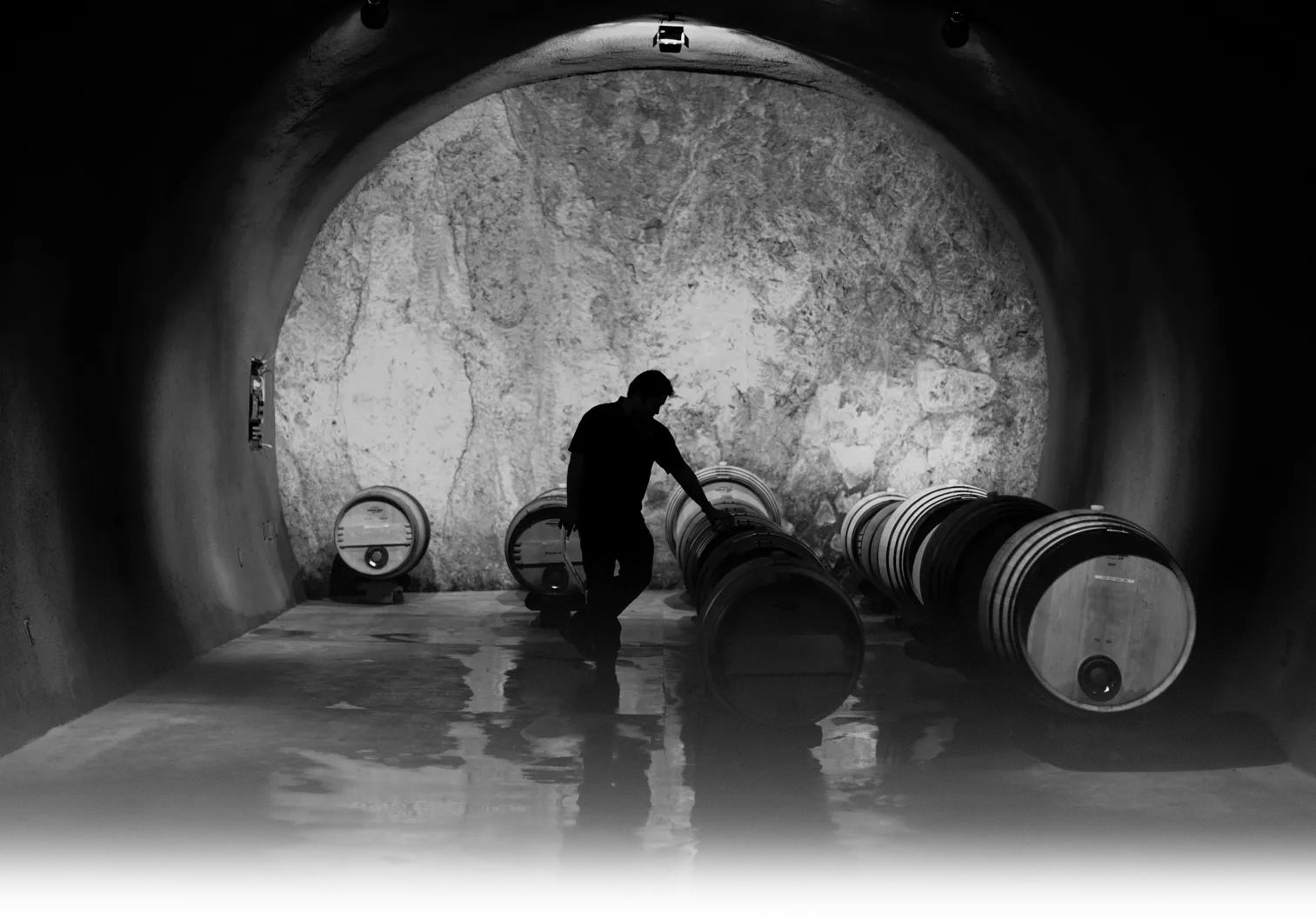 winemaker